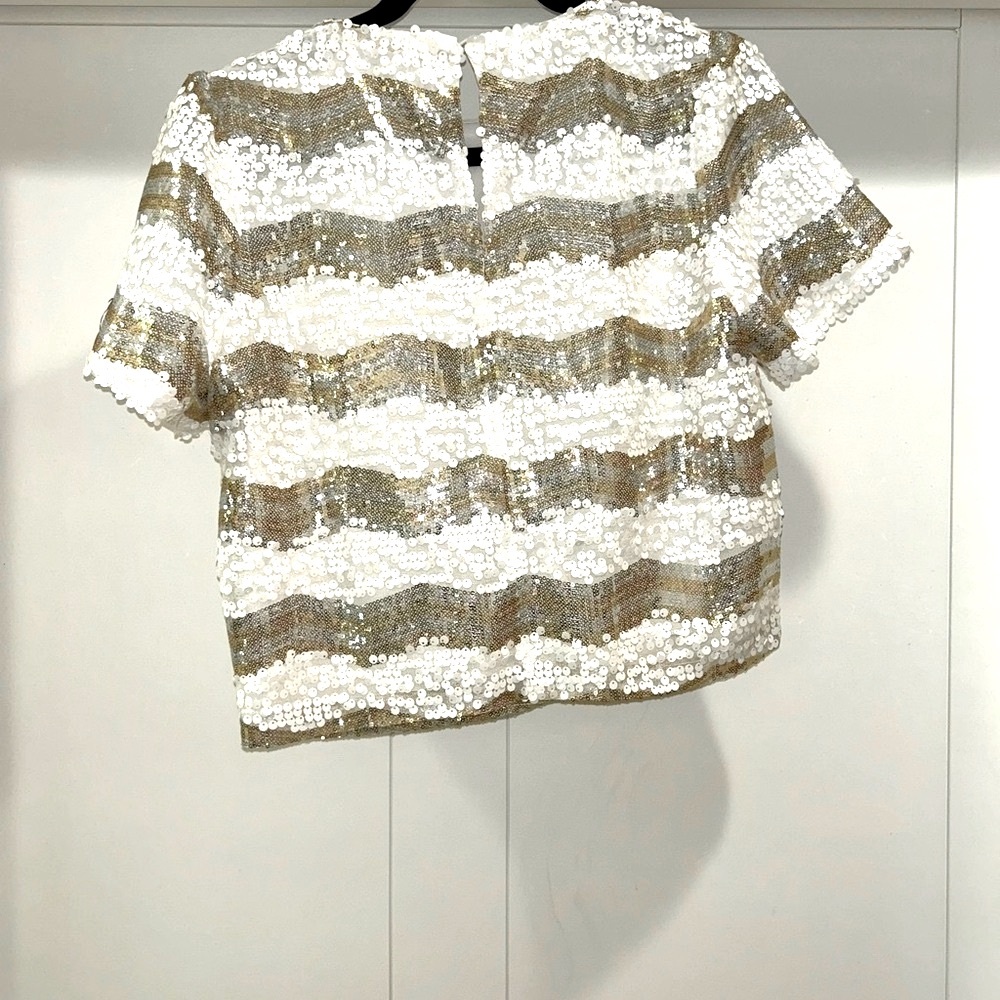✨HP✨ Cropped Sequin Top - Picture 2 of 11